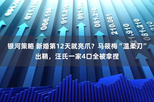 银河策略 新婚第12天就亮爪？马筱梅“温柔刀”出鞘，汪氏一家4口全被拿捏