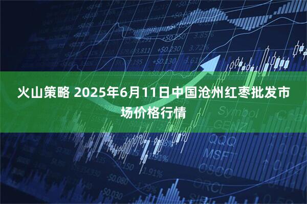 火山策略 2025年6月11日中国沧州红枣批发市场价格行情