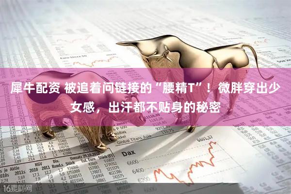 犀牛配资 被追着问链接的“腰精T”！微胖穿出少女感，出汗都不贴身的秘密