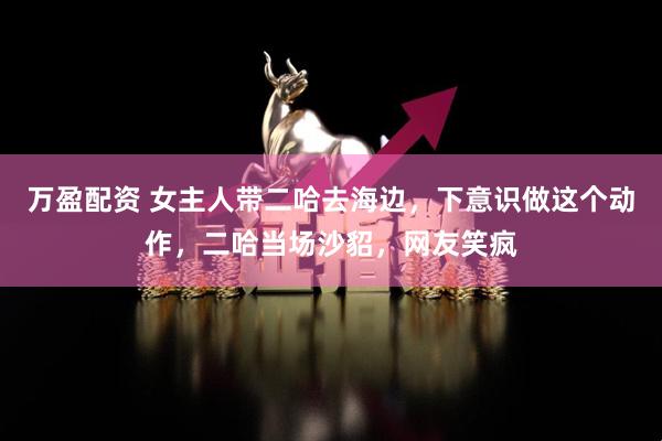 万盈配资 女主人带二哈去海边，下意识做这个动作，二哈当场沙貂，网友笑疯
