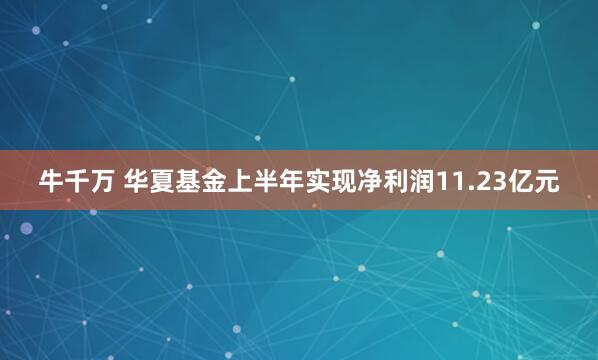 牛千万 华夏基金上半年实现净利润11.23亿元
