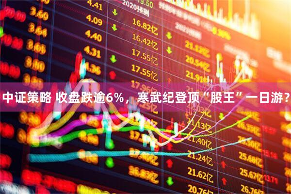 中证策略 收盘跌逾6%，寒武纪登顶“股王”一日游？