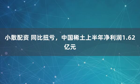 小散配资 同比扭亏，中国稀土上半年净利润1.62亿元