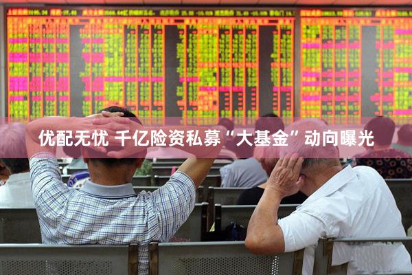 优配无忧 千亿险资私募“大基金”动向曝光