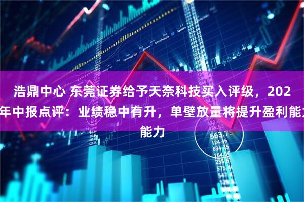 浩鼎中心 东莞证券给予天奈科技买入评级，2025年中报点评：业绩稳中有升，单壁放量将提升盈利能力