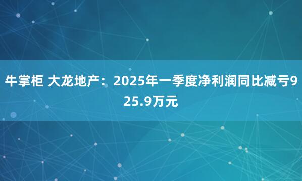 牛掌柜 大龙地产：2025年一季度净利润同比减亏925.9万元