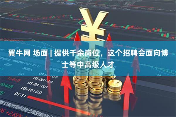 翼牛网 场面 | 提供千余岗位，这个招聘会面向博士等中高级人才