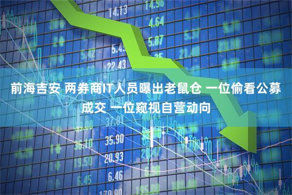 前海吉安 两券商IT人员曝出老鼠仓 一位偷看公募成交 一位窥视自营动向