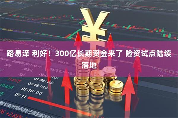 路易泽 利好！300亿长期资金来了 险资试点陆续落地